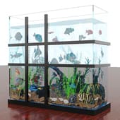 aquarium 3ds max 2021+corona 14