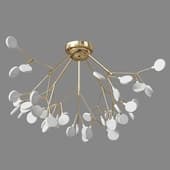 moooi heracleum 41