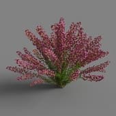 037 FacebookPage TN3dModel
