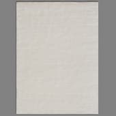 carpet 17774