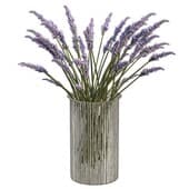 Plant288