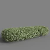 white turf elegantissima