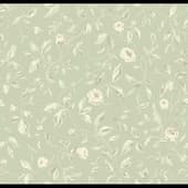 Rosa Dragomirski collection Rambler Rose R2 R2 005