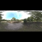 epping_forest_02_4k