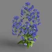 047 FacebookPage TN3dModel