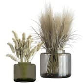 Plant274