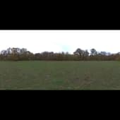 eilenriede_park_4k
