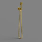 hygienic shower sturm traum, color gold