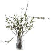 Plant414