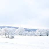 background 28