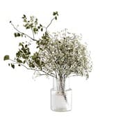 Plant757