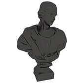 bust of an antique woman (bronze)