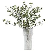 Plant415