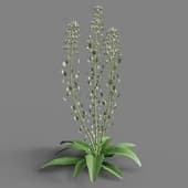 043 FacebookPage TN3dModel