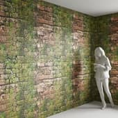 brick wall with moss