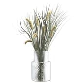 Plant417