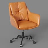 allar rolling chair, bergenson bjorn 2