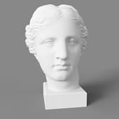 the head of venus