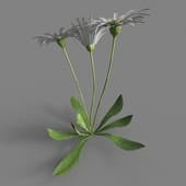 028 FacebookPage TN3dModel