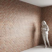 Brick 9