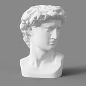 david's head