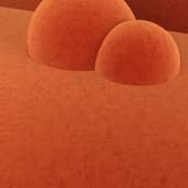 carrot velvet