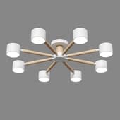 Lumion 8306-8C