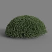 MT PM V28 English holly 01 01