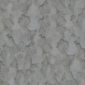 rough  plaster 01