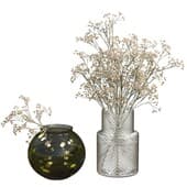 Plant281