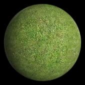 grass_c_200cm grass