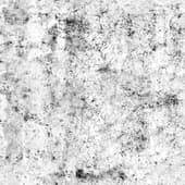 Dirt_47