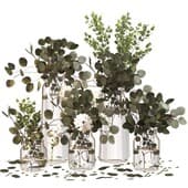 Plant261