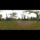 cloudy_vondelpark_4k